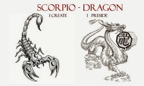 Гороскоп рак год дракона. Дракон знак зодиака. Дракон по знаку зодиака Скорпион. Знак зодиака дракон+Скорпион. Знак дракон по гороскопу.