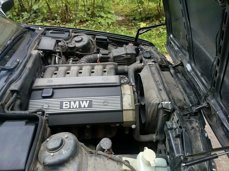 Bmw e34 525i двигатель. Мотор м 50. Мотор bmw m50b25. Бмв м50б25. Bmw e34 m50 мотор.