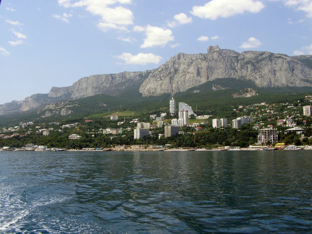 южный берег ялта. мисхор кореиз в крыму. южный берег ялта. аверкина, 2вк2. сосновая роща крым гаспра.