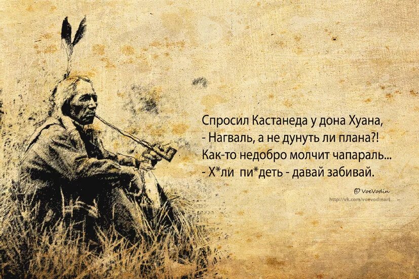 Почему говорят слово дон. Цитаты Дон Хуан путь воина. Карлос Кастанеда Дон Хуан. Дон Хуан Матус цитаты. Изречения Кастанеды.