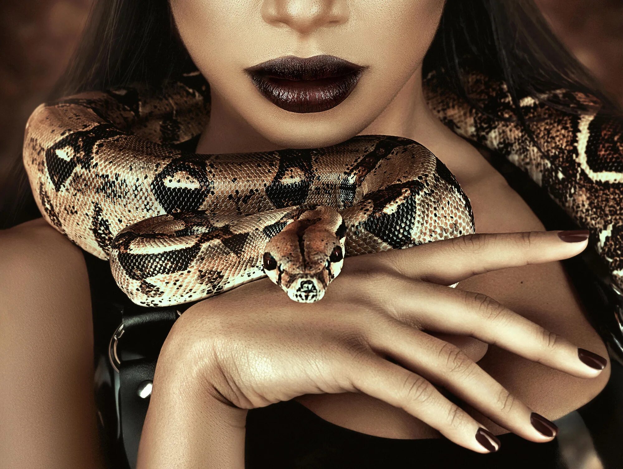 Женщина анаконда. Фотосессия со змеями. Девушка змея. Девушка со змеями. Девушка со змеей фотосессия.
