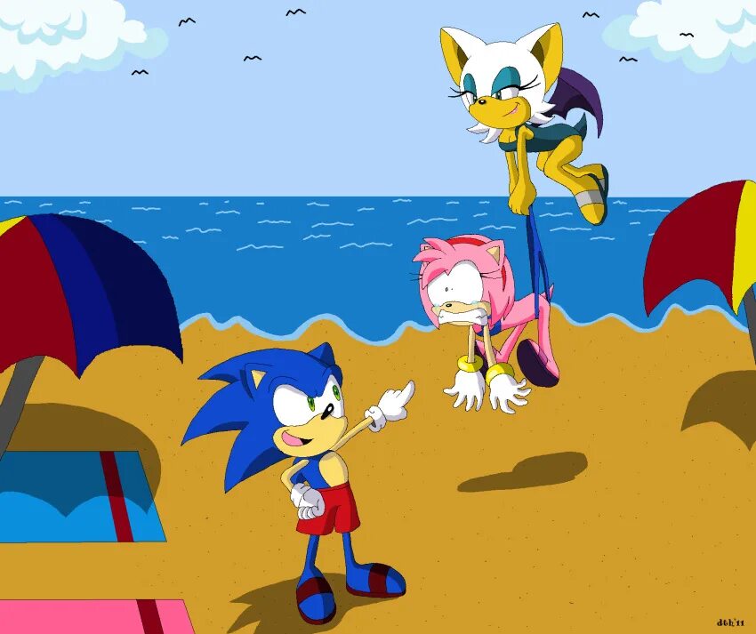 Эми Роуз Wedgie. Amy Rose Beach. Эми Роуз на море купается и катается. Sonic x Chris Swimsuit.