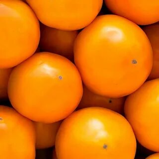 1000 x 10