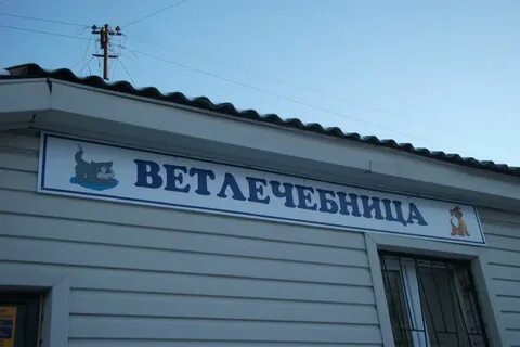 Левобережная ветеринарная лечебница отзывы