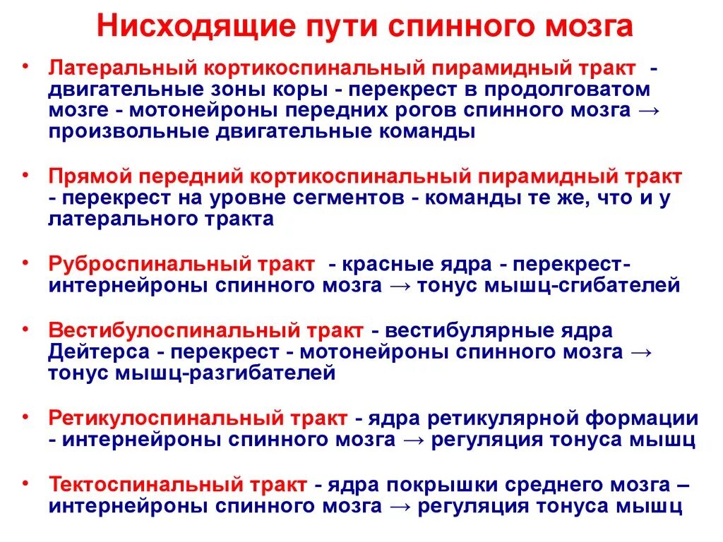 Восходящие и нисходящие нервные пути. Проводящие пути спинного мозга таблица функции. двигательные пути спинного мозга. нисходящие двигательные пути спинного мозга. проводящие пути спинного мозга функции.