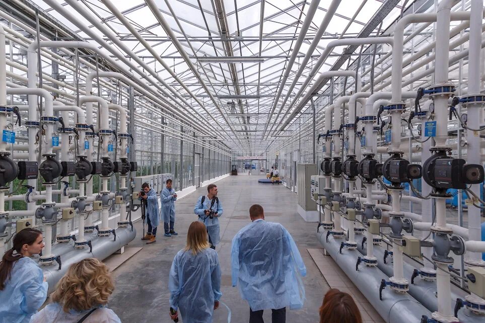 работа выселки агрокомплекс. агрокомплекс ткачева выселковский. ао фирма агрокомплекс.