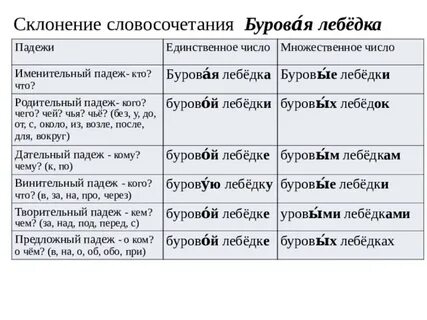 365 дней падежи