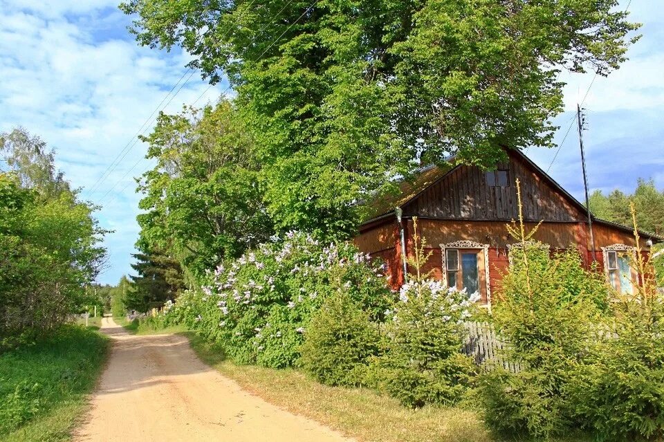 Улица в деревне весной. Улица в деревне. Деревенская улица. Деревенская улица летом. Деревенская улица весной.