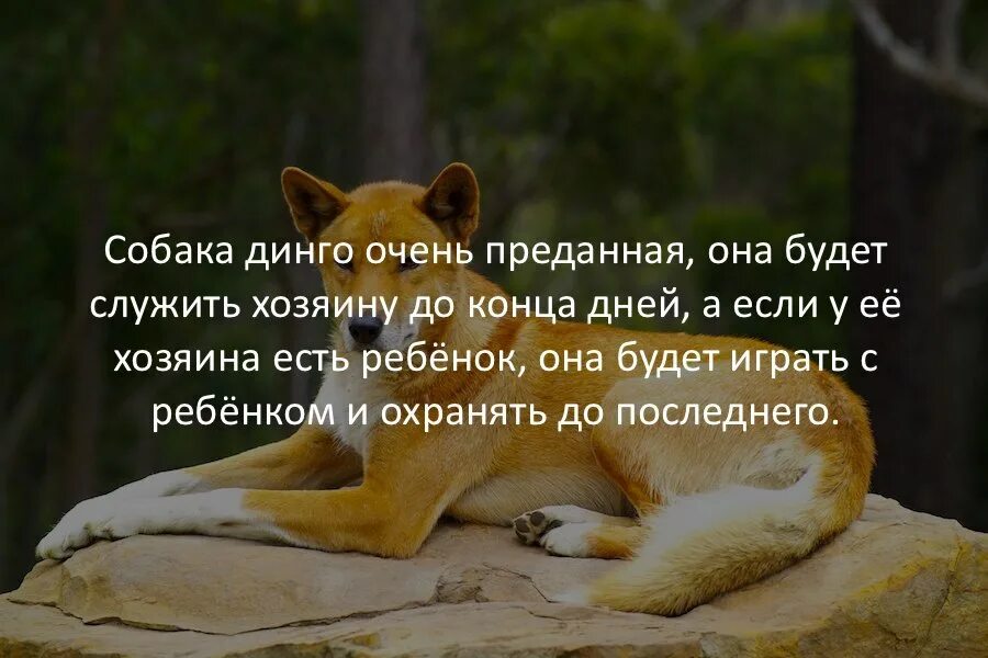 Информация была очень интересной. Смешные факты. Интересные смешные факты. Интересные факты о часах для детей. Интересные смешные факты.