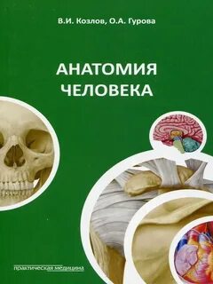 Издательство практическая медицина