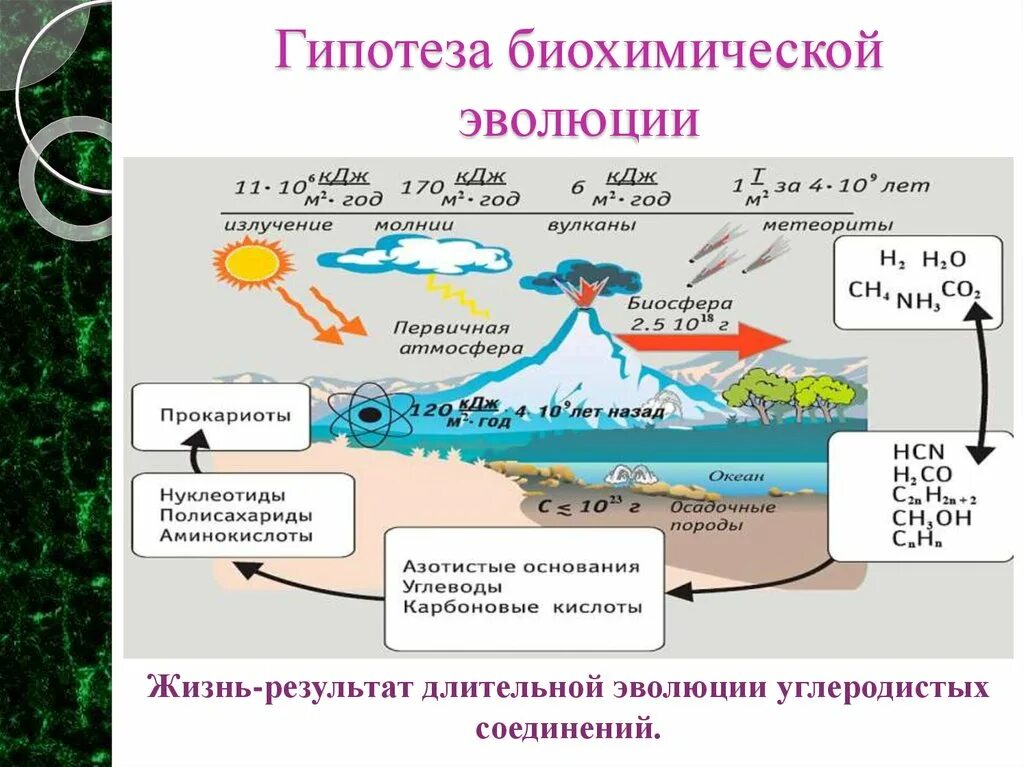 Этапы возникновения жизни на земле по опарину. Этапы биохимической эволюции опарина-холдейна. схема биохимическая эволюция теория опарина холдейна. теория химической эволюции опарина холдейна. этапы химической эволюции опарина.