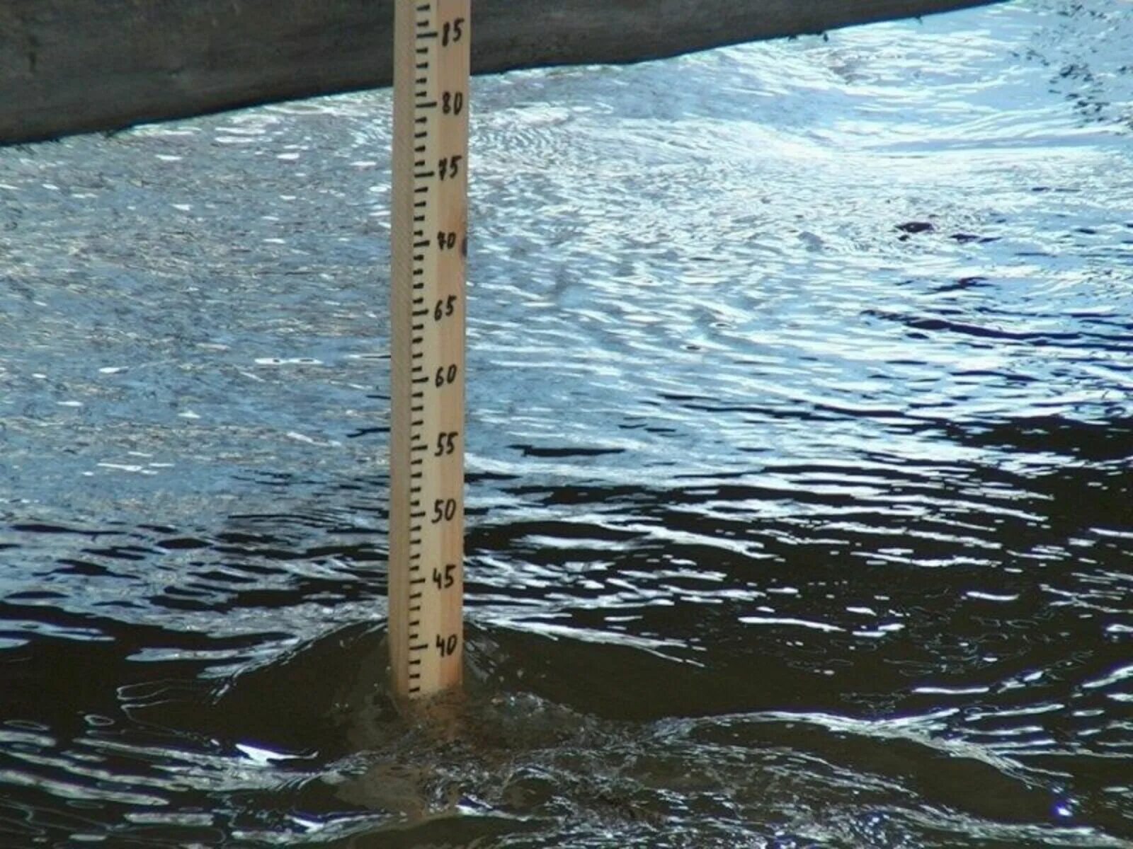 На сколько поднялась вода в тоболе сегодня. Подъем уровня воды. Подъем воды в реке. Подъем уровня воды в реке. Измерение уровня воды.
