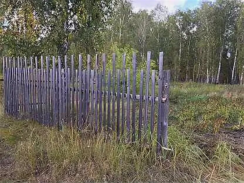 Тебеняк курганская область. Тебеняк курганская область. Зем. Курган вайлдберри3 мкр\. 41 участок курган.