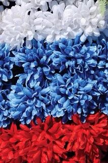 Цветы российского флага