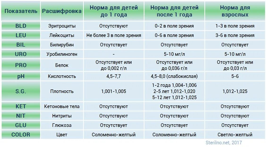 Моча в 6 месяцев