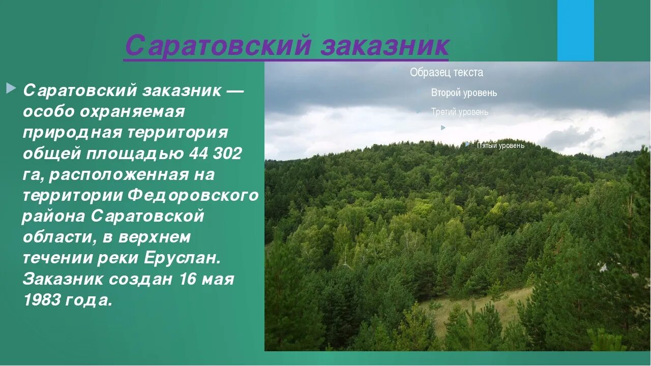 В какой природной зоне находится саратовская. Заповедники Саратовской области. Заповедники сартовскойобласти. Заповедники и национальные парки в Саратовской области. Заказники Саратовской области.