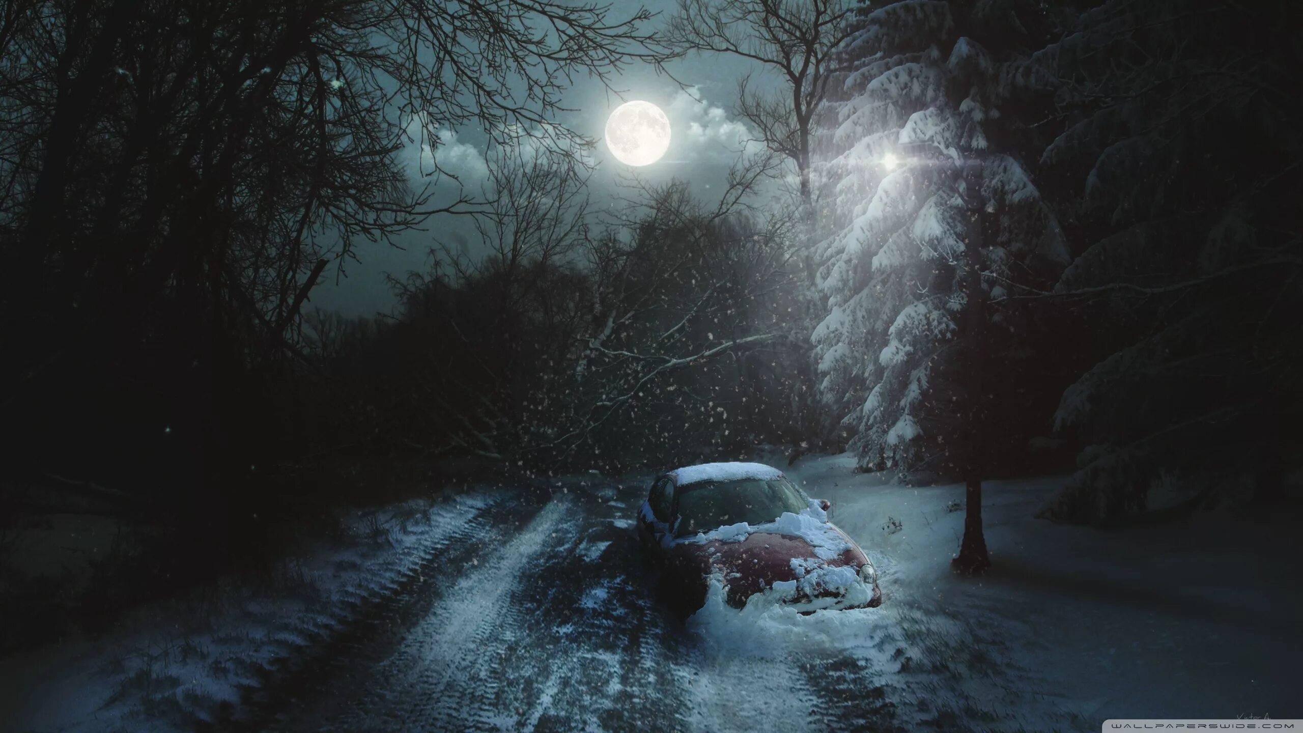 Deep scene. Зимняя ночь. Зимний лес ночью. Страшный зимний лес. Зимняя дорога в лесу ночью.