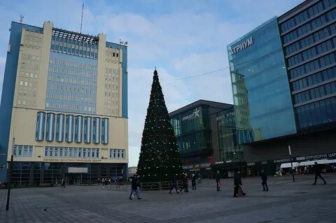 Нова могилев