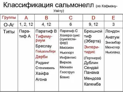 Классификация кауфмана уайта сальмонелл