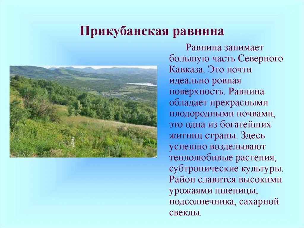 Равнины бассейна дона и предкавказья природные зоны. Прикубанская равнина. Предкавказье природный комплекс. Прикубанские равнины Кавказа. Природный комплекс Прикубанская равнина.