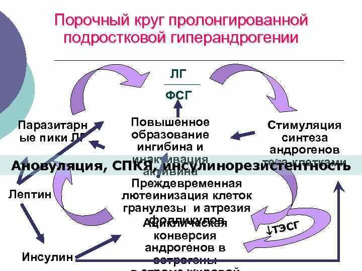 СПКЯ гормональные изменения. Гормональные изменения при СПКЯ. СПКЯ гиперандрогения. ФСГ стимулирует.