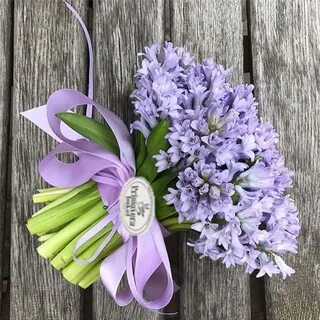 Альтернатива цветам