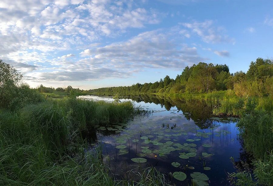 планета земля. земля нея. планета земля. земля нея. период вращения и обращения земли.