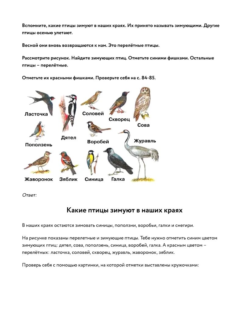 Описание птиц 1 класс. Где зимуют птицы 1 класс окружающий мир.