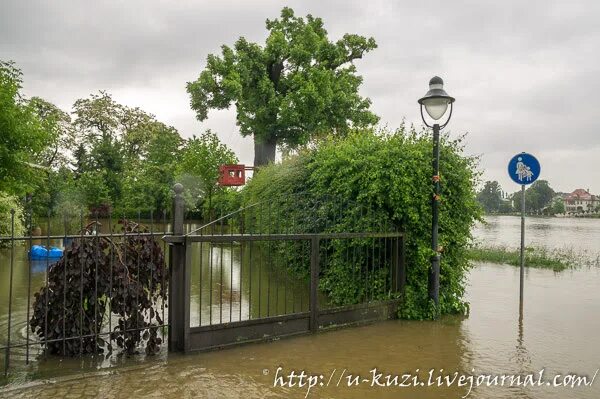 Наводнение в дрездене. Дрезден наводнение. Наводнение в дрездене. Наводнение. Дрезден 2002.