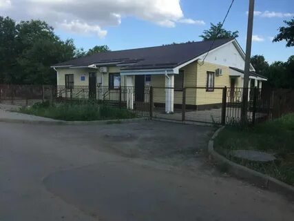 Карачиха школьная 36