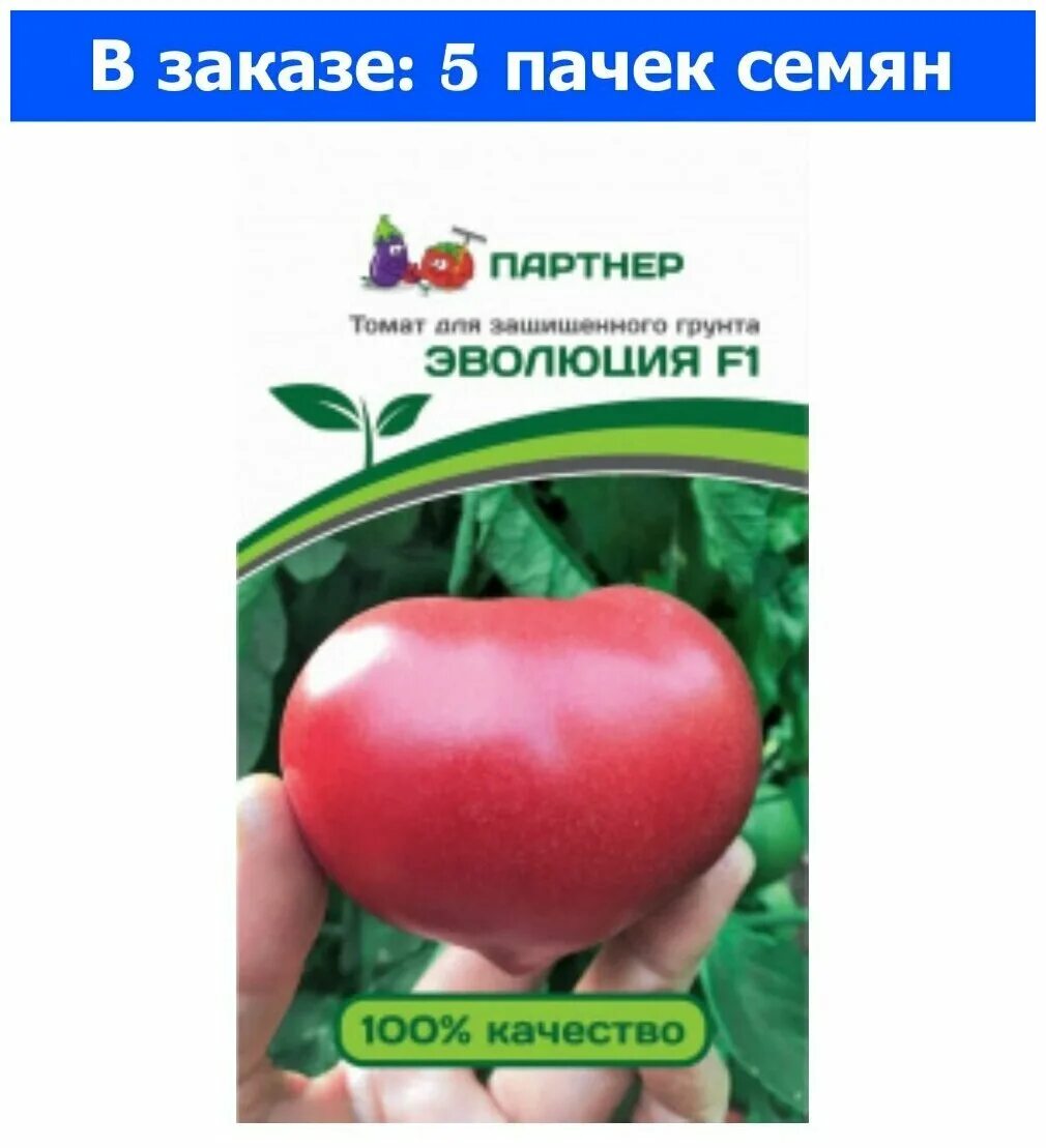 Томат фирмы партнер эволюция. Томат важная персона семена. Томат эволюция f1 /партнер/ 10шт. Томат эволюция семена фирмы партнер описание. Томат эволюция f1.