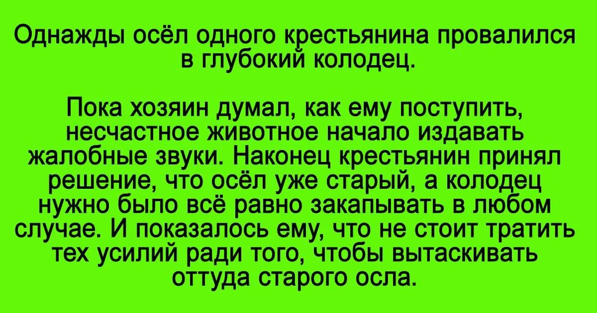 Притча об осле. Притча про осла и колодец. притча про ослика в колодце. осел в колодце. притча про осла которого закапывают.