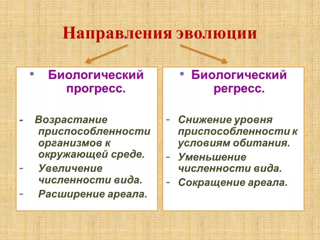 Направление эволюции биологический прогресс примеры. Основные направления эволюции биологический регресс. 11 Кл биология главные направления эволюции. Направления эволюции биология 11 класс.