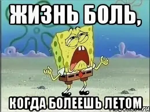 Досмотрел