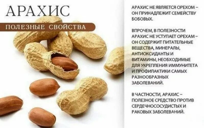 Что содержит арахис. Чем полезен арахис. чем полезен арахис для организма. польза арахиса для организма. арахис польза.