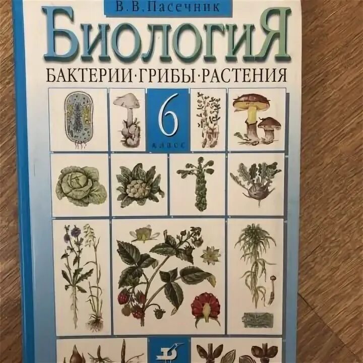 Электронный учебник биология 8 класс пасечник. Пасечник биология 6. Биология 6 кл Пасечник. Биология бактерии грибы растения 5 класс Пасечник в.в. Биология 6 класс материал.