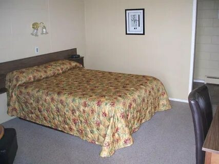 Moggs motel