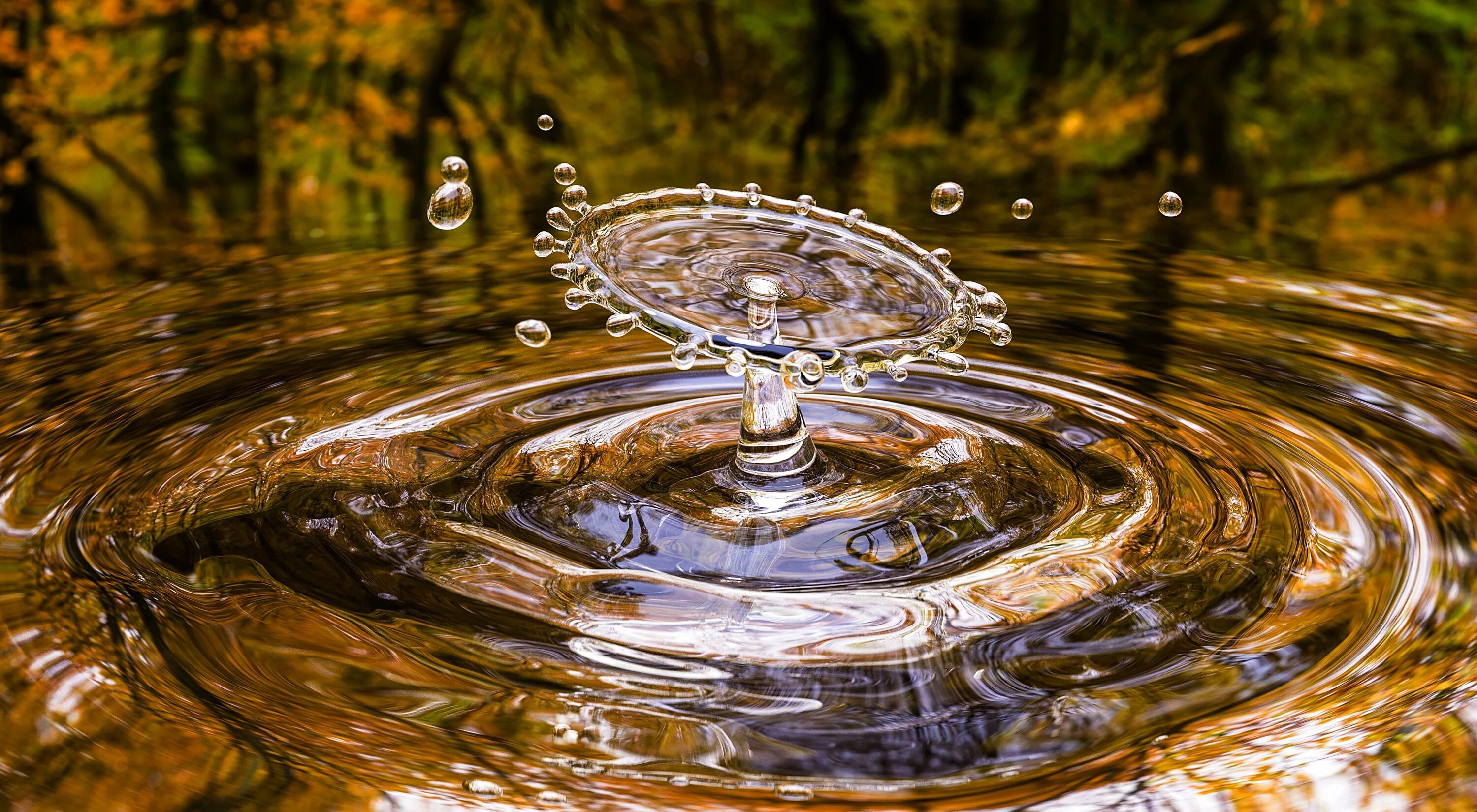 Став круги на воде. Круги на воде. Капля падает в воду. Плеск воды. Красивые обои вода.