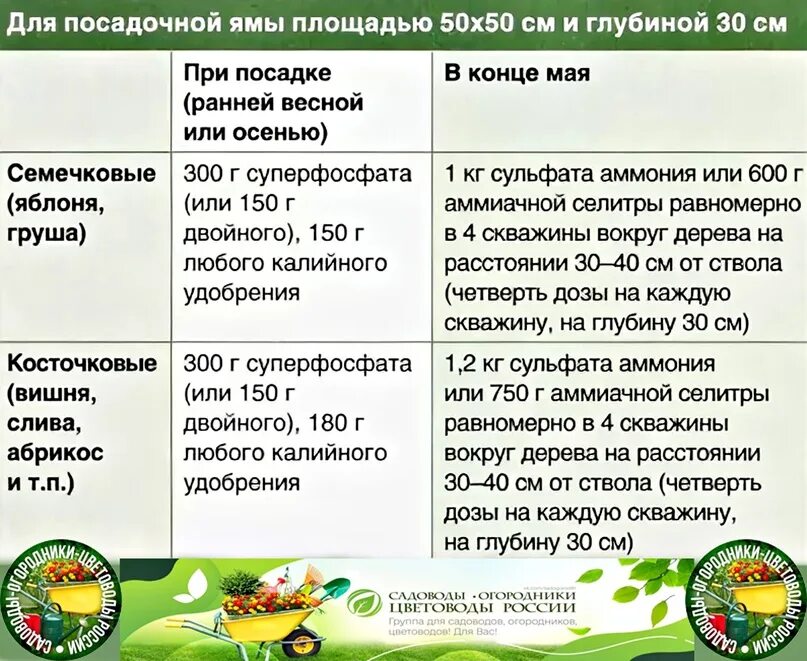 Садоводы-огородники-цветоводы России удобрения. Календарь рассады на 2024 огородника. Календарь рассады на 2024 садовода и огородника. Календарь садовода и огородника на 2024 для Урала посадочный.