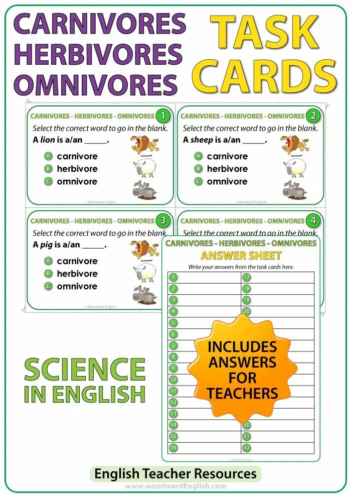 Carnivore перевод. Carnivore Herbivore. Herbivore Carnivore Omnivore. Herbivore Carnivore Omnivore Worksheet.