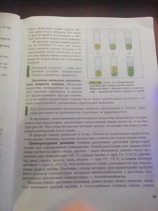 Пересказ 9 параграфа по биологии. Конспект по биологии 6 класс. Конспект 6 параграфа по биологии. Конспект по биологии 6 класс прорастание семян. Конспект по биологии 6 класс условия прорастания семян.