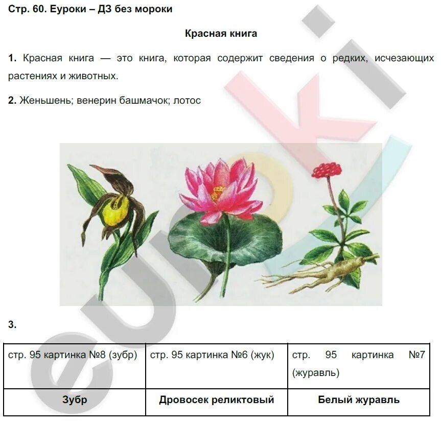 Подпись была, но её украли гномы.