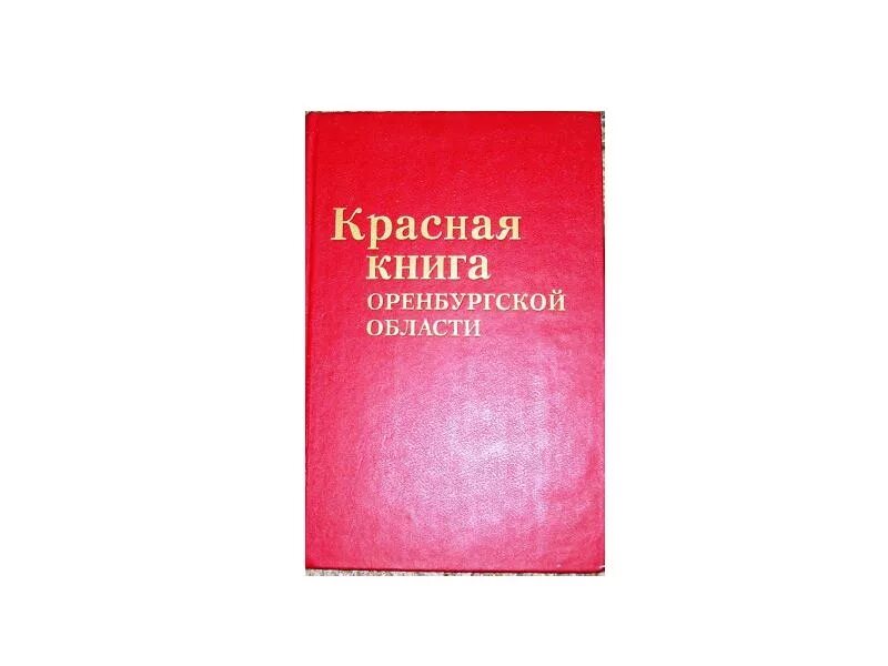 Растения из красной книги Тюменской области