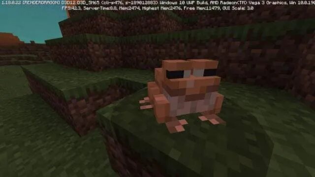 Frog mod minecraft