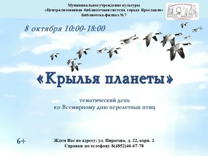 День мигрирующих птиц 2024
