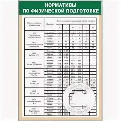 Нормативы сдачи физо. Нормативы по физической подготовке. Нормативы физической подготовленности. Нормативы по физ подготовки. Возрастные нормативы по физической подготовке.