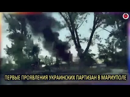 Партизаны украины последние новости