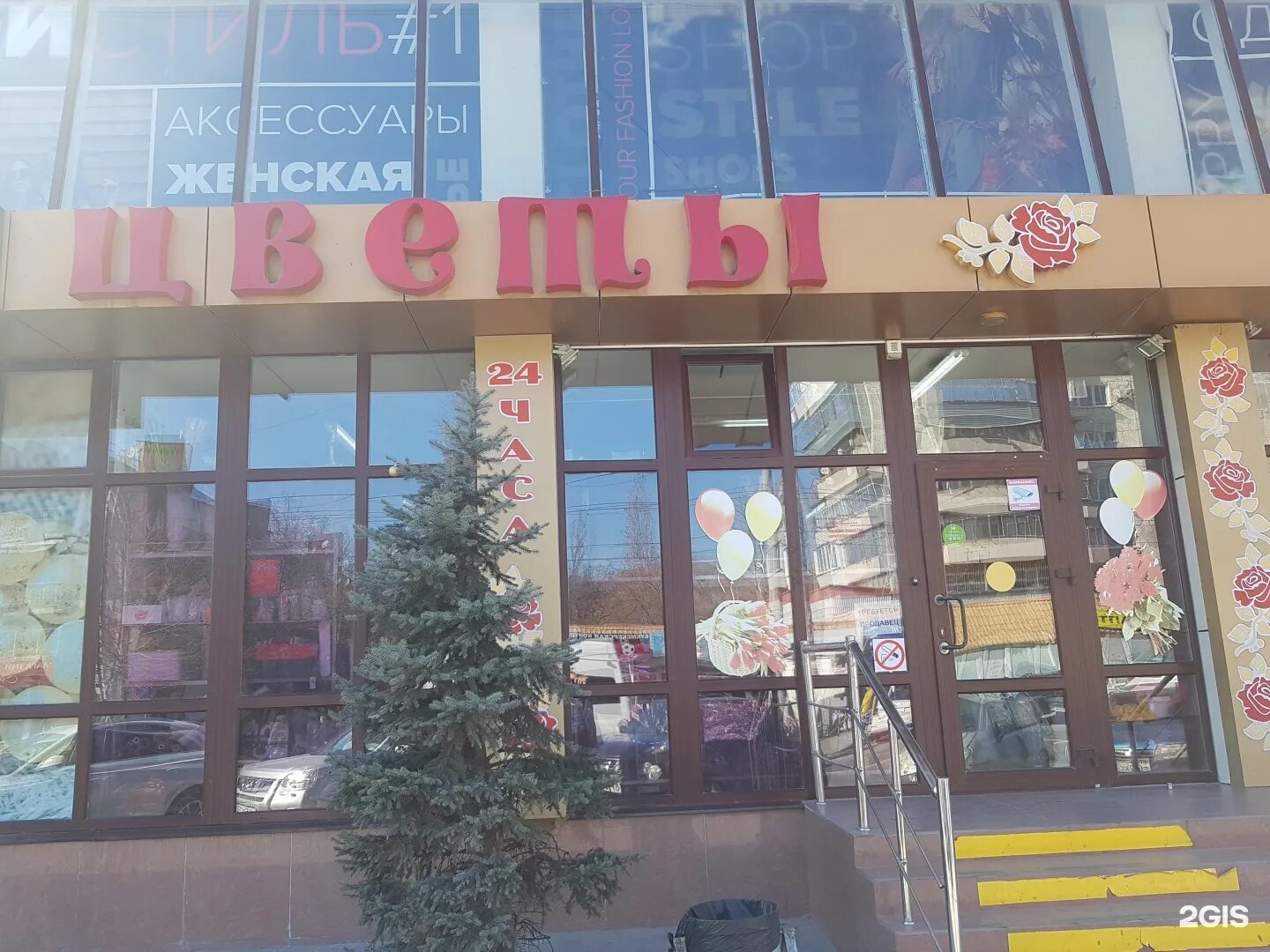 Цветущий новороссийск. Советов 62 новороссийск. Цветы новороссийск круглосуточно. Цветы новороссийск доставка. Цветы новороссийск.