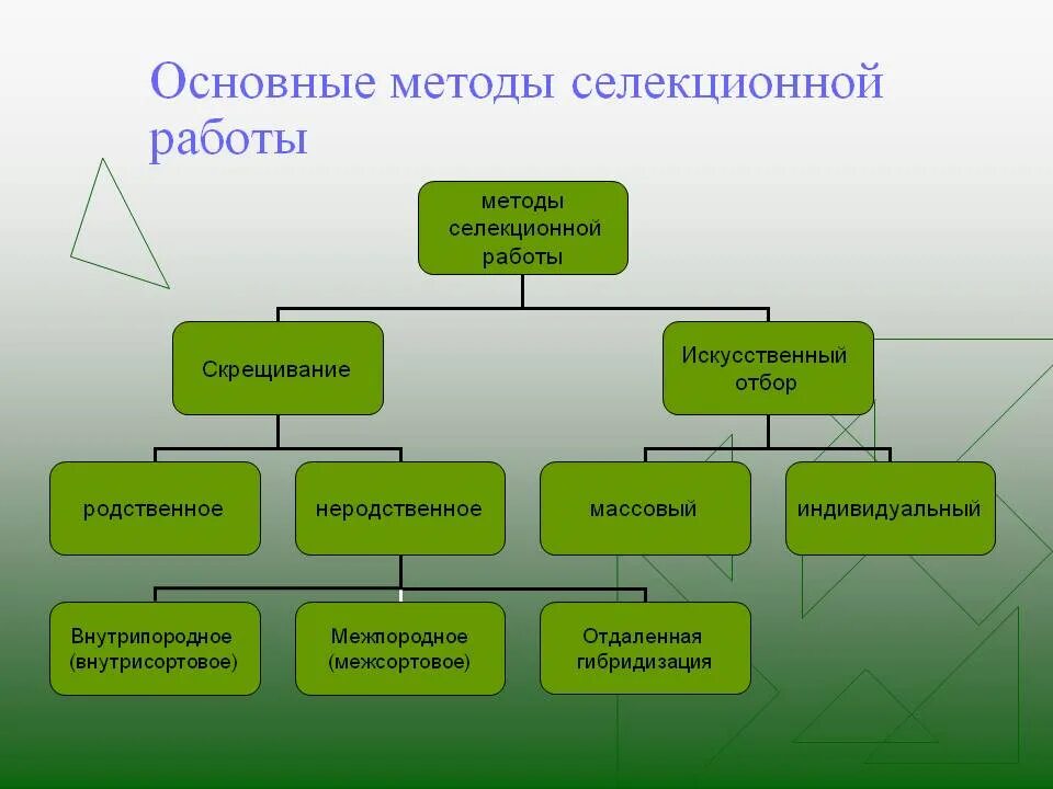 Методы селекции схема 9 класс биология. Схема метода селекции животных. Кластер методы селекции микроорганизмов. Основной метод селекции растений. Чем отличается селекция растений от селекции животных