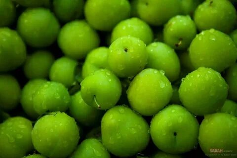 Зеленая слива фрукт